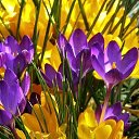 ���� �������, ���������� - ��������� 7 ������ 2026 � ������ ������ ��������