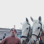 ����, 65 ���, �����-���������