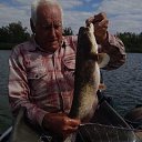 ���� ������, ������ - ��������� 31 ������� 2025 � ������ �������