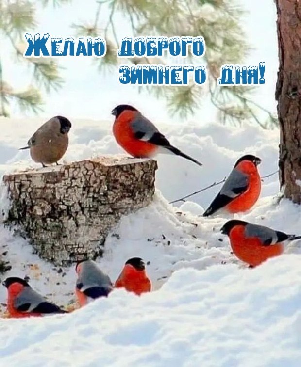   ! - 14  2023  13:47