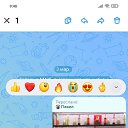 ���� ������� ��������, ������, 49 ��� - ��������� 18 ������� 2026 � ������ ���� ����������
