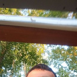 , 32, 
