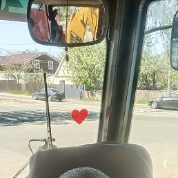 , 37, 