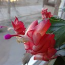 ���� Wiktor, ������ ��� - ��������� 9 ������� 2024 � ������ ������ ��������