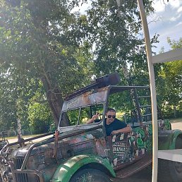 ������, ����-���, 36 ���