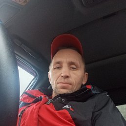 , 41,  
