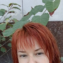 , 37, 