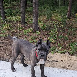 ���� �������, �������, 38 ��� - ��������� 19 ������� 2025