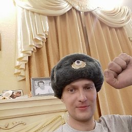 ���� ϸ��, �����������, 41 ��� - ��������� 17 ����� 2024