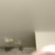 , 84 , 