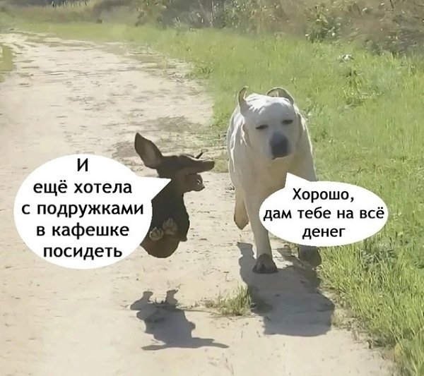  ..  ! - 5