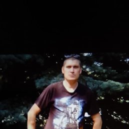 ������, 45 ���, ���������