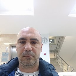 , 39, 