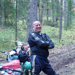 , 55, 