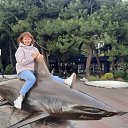  ˸, , 56  -  28  2025    