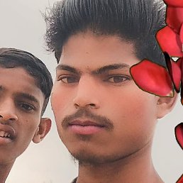 Ajju Singh, �������, 19 ���