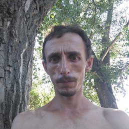 , 31, 