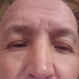  , , 51 