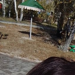 ������, �����, 44 ����