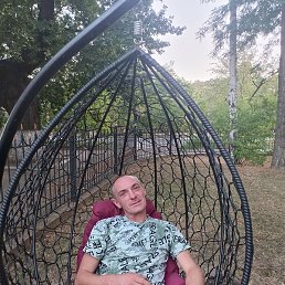 ��������, ����, 41 ���