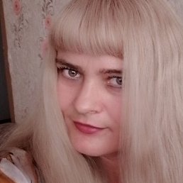 �����, ������, 40 ���