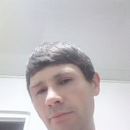 , 37, 
