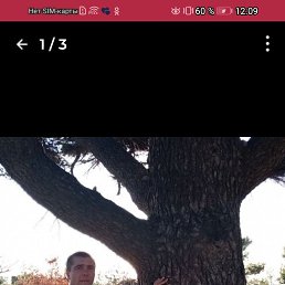 , 45, 