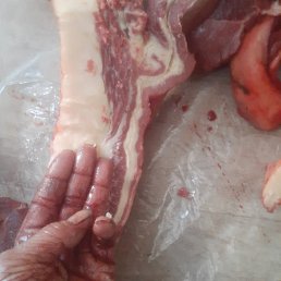 �����, ��������, 50 ���