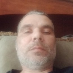 , , 44 