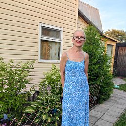 ���� �����, �������, 62 ���� - ��������� 4 ������ 2026