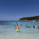 ���� �������, ��������, 33 ���� - ��������� 11 ������� 2026 � ������ ���� ����������