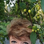 , 60 , 