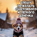 ���� ������, ���������, 64 ���� - ��������� 21 ������ 2026 � ������ ���� ����������