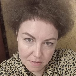 ���� �������, ����������, 48 ��� - ��������� 23 ������� 2024