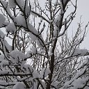  Elena  !,  -  14  2024    