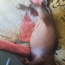 ���� ���� /�����������, ������-��-����, 58 ��� - ��������� 10 ��� 2026 � ������ ���� ����������