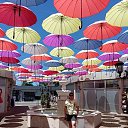 ���� �����, �������, 44 ���� - ��������� 14 ����� 2026