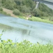 �����, 45 ���, ���������