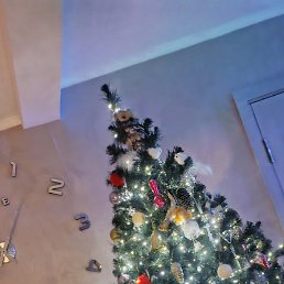 �����, ������ �����, 50 ���