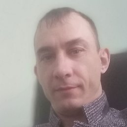 ,  , 41 