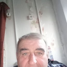 , 56, 