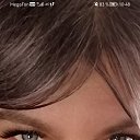 ���� �����, ����, 40 ��� - ��������� 13 ������ 2026