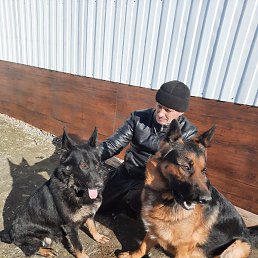 ������, ������, 52 ����