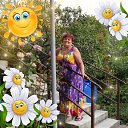 ���� ����, �����, 76 ��� - ��������� 17 ������� 2024 � ������ ���� ����������