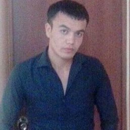 , 31, 