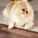 ���� H&eacute;l&egrave;ne, ������, 49 ��� - ��������� 12 ���� 2026 � ������ ���������