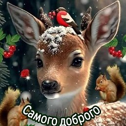 �����, ������, 61 ���