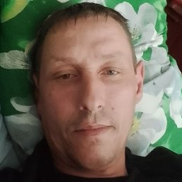 ����, ������, 41 ���