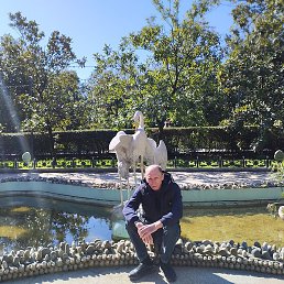 �������, ����, 63 ����