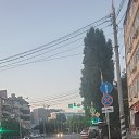 ���� �������, �����, 34 ���� - ��������� 2 ������� 2024 � ������ ���� ����������